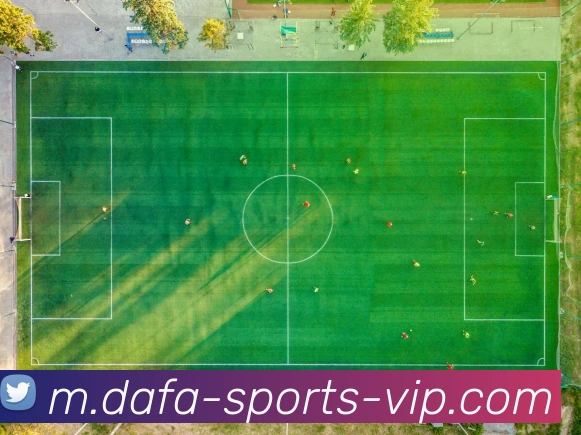 大发APP 体育赛事宣传图